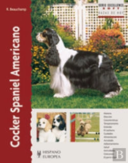 Bertrand.pt - Cocker Spaniel Americano