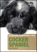 Cocker Spaniel