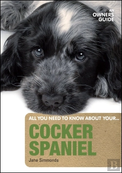 Bertrand.pt - Cocker Spaniel