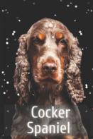 Cocker Spaniel