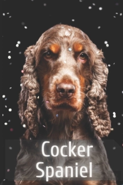 Bertrand.pt - Cocker Spaniel