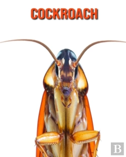 Bertrand.pt - Cockroach