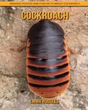Cockroach