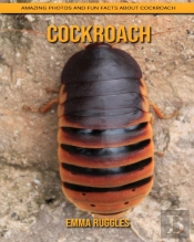 Cockroach