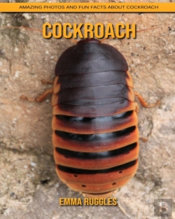 Bertrand.pt - Cockroach