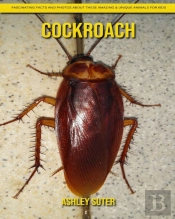 Cockroach