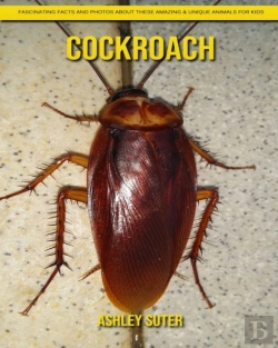 Bertrand.pt - Cockroach