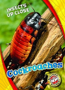Bertrand.pt - Cockroaches