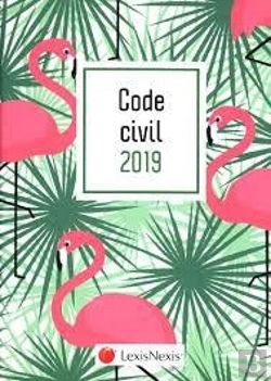 Bertrand.pt - Code Civil 2019 - Flamand Rose