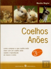 Coelhos Anões