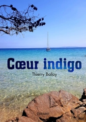 Coeur Indigo