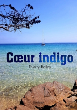 Bertrand.pt - Coeur Indigo