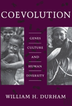 Bertrand.pt - Coevolution