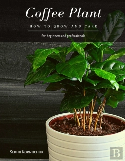 Bertrand.pt - Coffee Plant