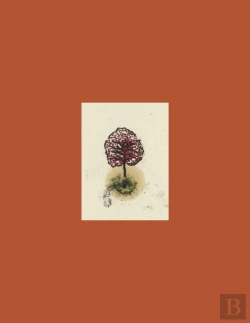 Bertrand.pt - Coffret Arbres