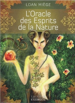 Bertrand.pt - Coffret L'Oracle Des Esprits De La Nature