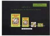 Coffret N  20 Les Belles Poupees De Julia Fetent La Nativite