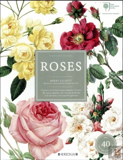 Bertrand.pt - Coffret Roses