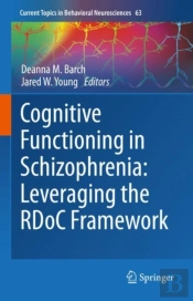 Cognitive Functioning In Schizophrenia: Leveraging The Rdoc Framework