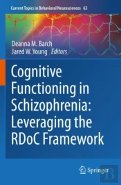Cognitive Functioning In Schizophrenia: Leveraging The Rdoc Framework