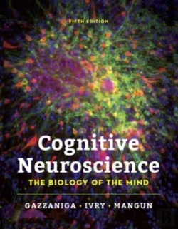 Bertrand.pt - Cognitive Neuroscience
