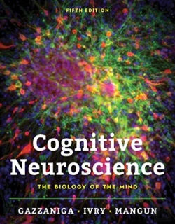 Bertrand.pt - Cognitive Neuroscience