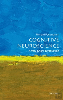 Bertrand.pt - Cognitive Neuroscience
