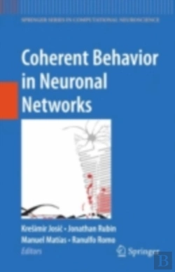 Bertrand.pt - Coherent Behavior In Neuronal Networks