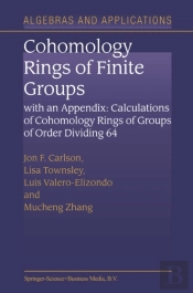 Cohomology Rings Of Finite Groups