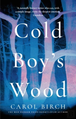 Bertrand.pt - Cold Boy'S Wood