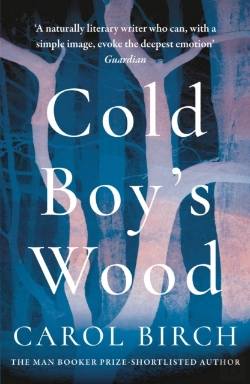 Bertrand.pt - Cold Boy'S Wood