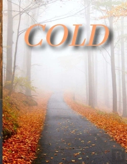 Bertrand.pt - Cold