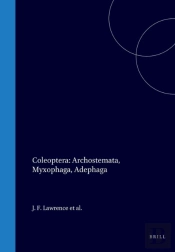 Coleoptera