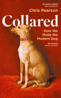Bertrand.pt - Collared