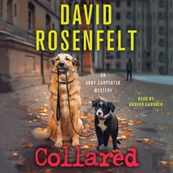 Bertrand.pt - Collared