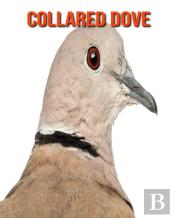 Collared Dove