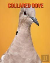 Collared Dove