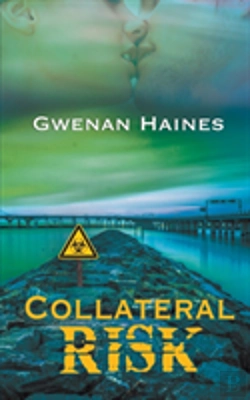Bertrand.pt - Collateral Risk