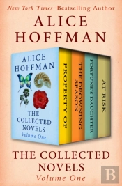 Collected Novels Volume One
