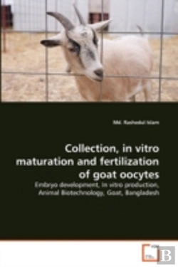 Bertrand.pt - Collection, In Vitro Maturation And Fertilization Of Goat Oocytes