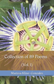 Collection Of 89 Poems (Vol. 1)