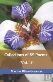 Collections Of 89 Poems