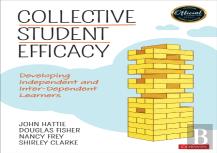 Collective Student Efficacy