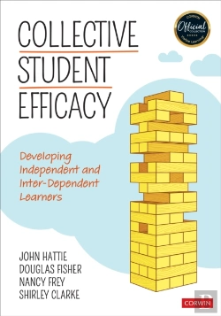 Bertrand.pt - Collective Student Efficacy
