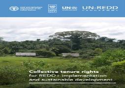 Collective Tenure Rights For Redd+ Implementation And Sustainable Development