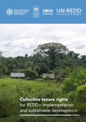 Collective Tenure Rights For Redd+ Implementation And Sustainable Development
