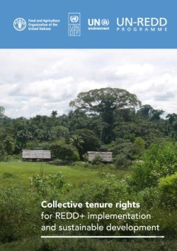 Bertrand.pt - Collective Tenure Rights For Redd+ Implementation And Sustainable Development