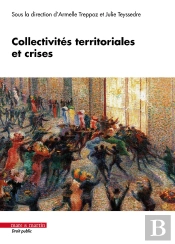 Collectivités Territoriales Et Crises