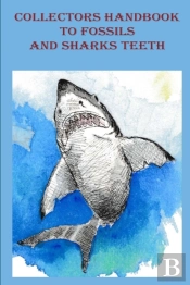Collectors Handbook To Fossils And Shark Teeth