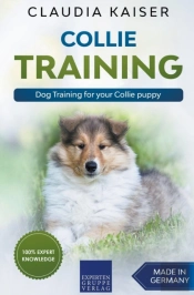 Collie Training - Dog Training For Your